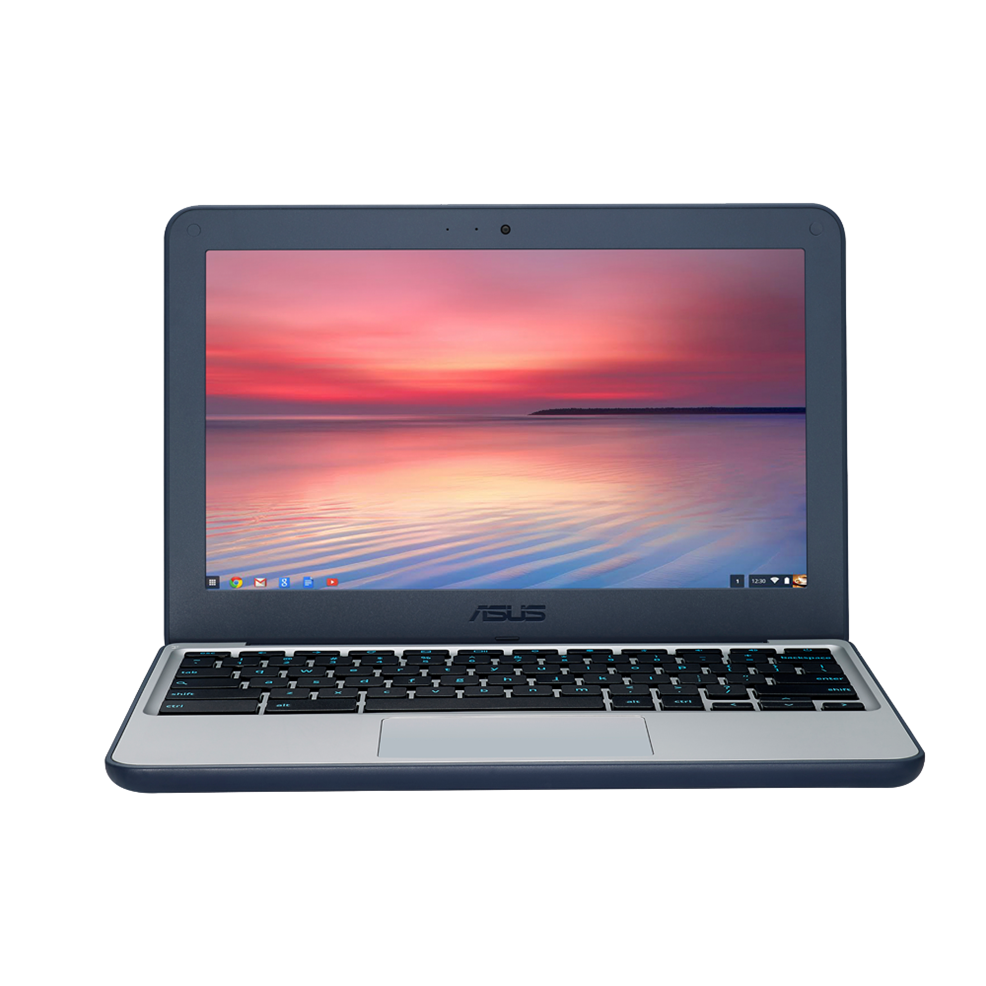 Asus Chromebook C202 Battery