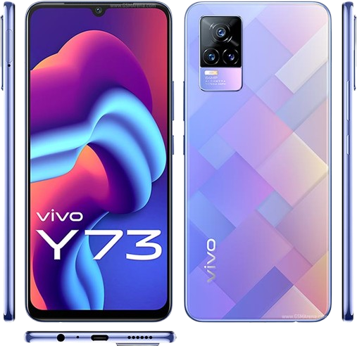 vivo Y73 Back Cover