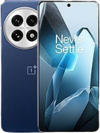 OnePlus 13 (CPH2653) Battery