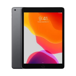 iPad 7th gen 10.2 (2019) A2197, A2200, A2198, iPad7,11, iPad7,12 Audio Components