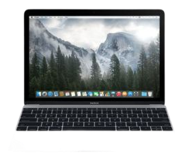 MacBook Retina 12-inch (2015) - A1534 Battery