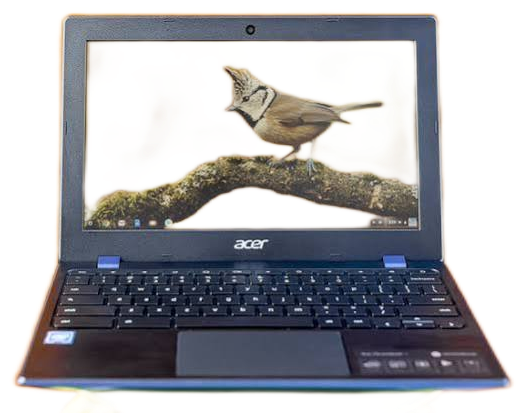 Acer Chromebook 11 (CB311-8H) 2018 LCD