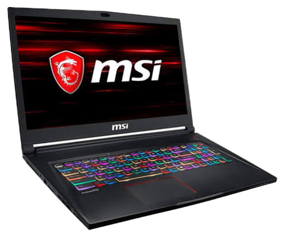 MSI (GS73 Stealth 8RE) 2018 Other repairs