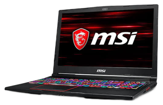 MSI (GE63 Raider 9SG-015PH) 2019 LCD