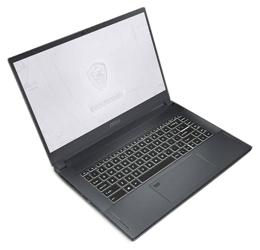 MSI (WS66 10TKT-080) 2020 LCD