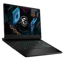 MSI (GP66 Leopard 11UH-254PH) 2021 Other repairs