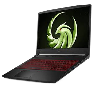 MSI Bravo (15 B5DD-200PH) 2021 LCD
