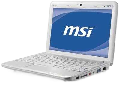MSI Wind (U135-W7FM) 2010 Other repairs