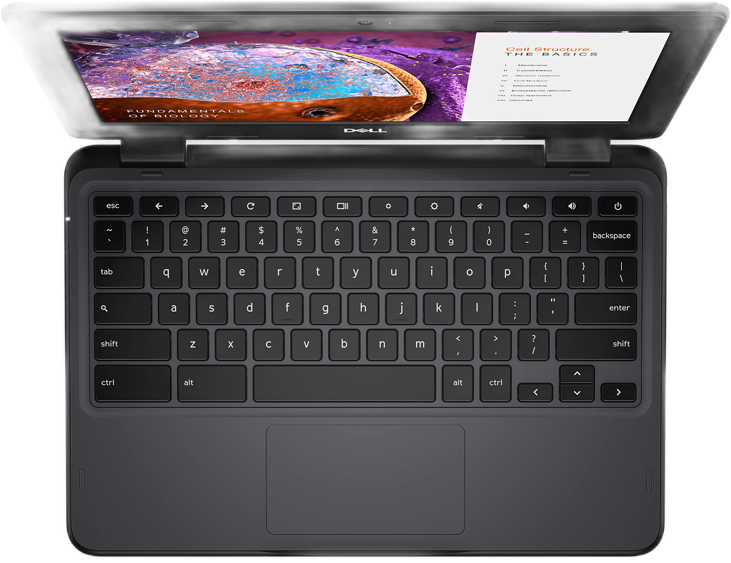 Dell Chromebook 3110 (2022) LCD
